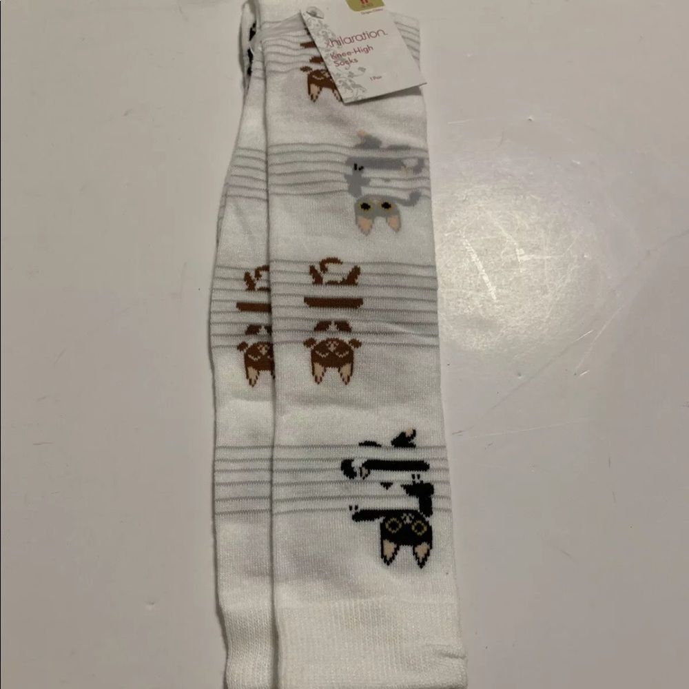Xhilaration Knee High Cat Socks Size 4-10NWT NEW
